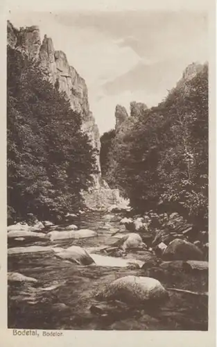(497) AK Bodetor im Bodetal 1920er