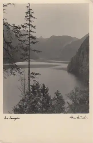 (504) Foto AK Königssee, Schönau