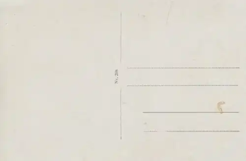 (263) AK Boppard, Vierseenblick