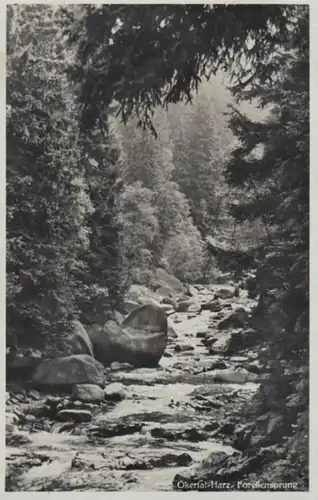 (233) AK Okertal, Forellensprung 1939