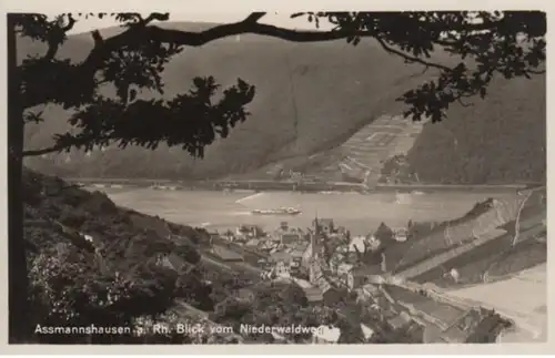 (131) Foto AK Assmannshausen, Rüdesheim am Rhein