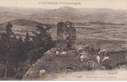(21) AK Murol, Ruine Schlossturm, vor 1945