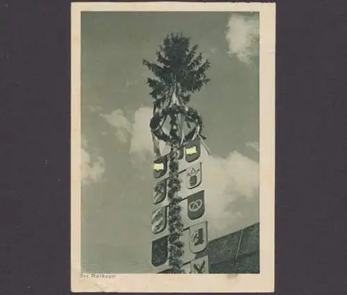 Der Maibaum - 403731