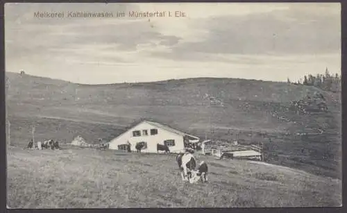 Kahlenwasen, im Münstertal, Melkerei - 404399