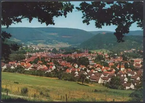 Amorbach im Odenwald, Ortsansicht - 411228