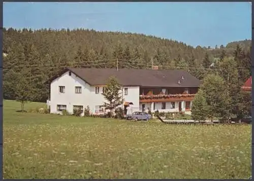 Auerkiel bei Bodenmais, Pension "Waldblick", Bes. R. Fischl - 412409