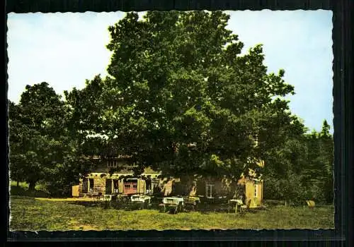 Calenberger Land, Jahnhütte im Süntel - 412858