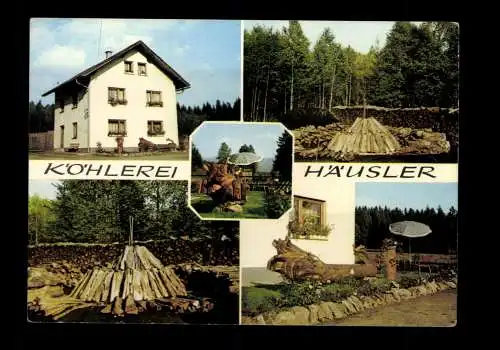 Zwieselau, Oskar Häusler Pension-Köhlerei - 414330