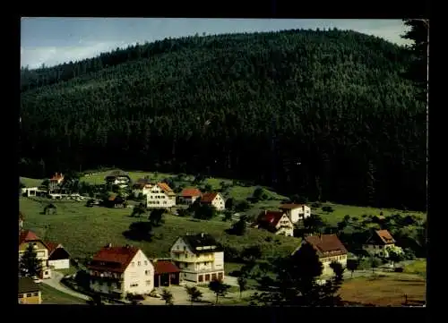 Enzklösterle bei Wildbad, Lkr. Calw, Blick gegen Schneckentalweg - 414480