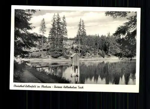 Clausthal-Zellerfeld, Oberharz, Unterer Kellerhalsee Teich - 415742