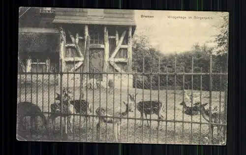 Bremen, Wildgehege im Bürgerpark - 416699