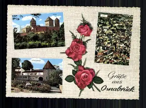 Osnabrück, Dom, City, Vitischanze und Rosen - 417589