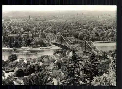 Dresden, Blick von den Loschwitzhöhen, Brücke, Dampfer - 418744