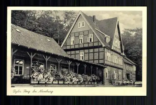 Oyle, LK Nienburg, Oyler Berg, Waldwirtschaft von H. Strassburg - 417965