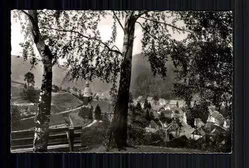 Wildemann, Oberharz, Blick von den drei Birken - 418213