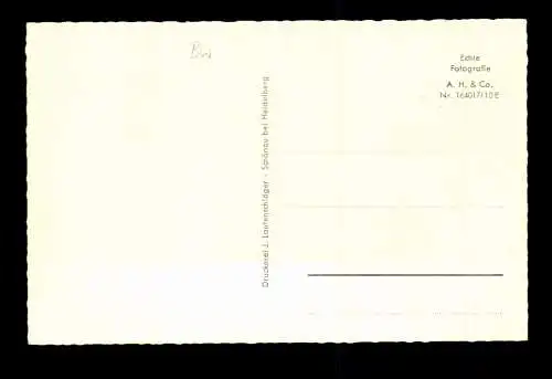 Schönau, bei Heidelberg, Blick auf den Ort - 419332