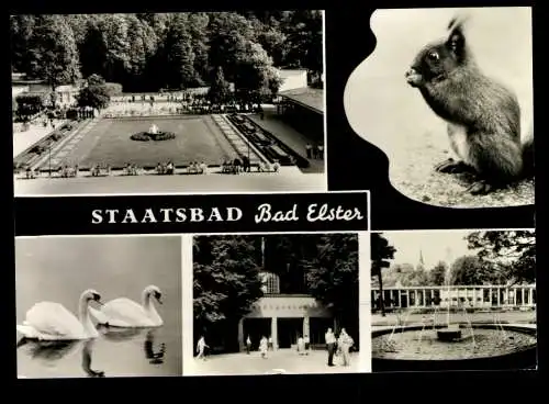 Bad Elster, 5 Bilder Karte - 419948