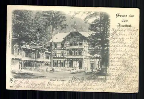 Ilsethal / Harz, Hotel Prinzess Ilse - 419240