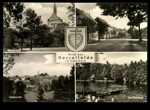 Hasselfelde/Harz, Marktplatz, Teilansicht, Waldfreibad, Wappen - 419990