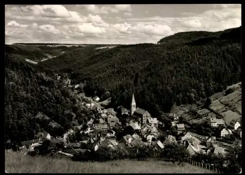 Lauterbach/Schwarzwald, Blick zum Ort, Kirche - 420750