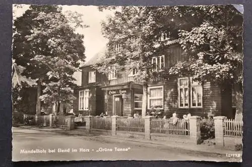 Mandelholz, bei Elend, Harz, "Grüne Tanne" - 422247