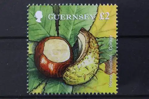 Guernsey, MiNr. 1341, postfrisch - 660058