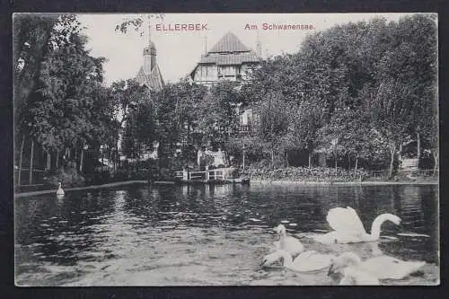 Kiel Ellerbek, am Schwanensee - 423214