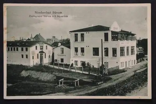 Nordseebad Büsum, zoologische Station mit Aquarium - 423210