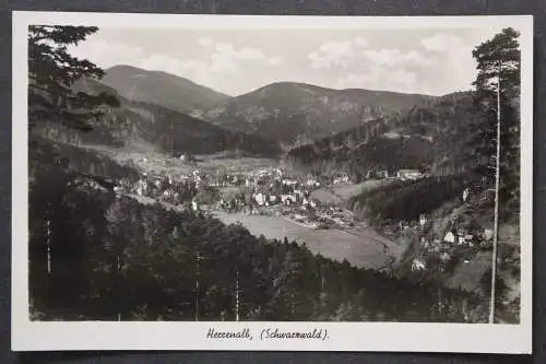 Herrenalb, Schwarzwald, Blick zum Ort - 423925