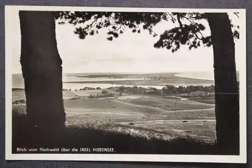 Insel Hiddensee, Blick vom Hochwald über die Insel - 424055