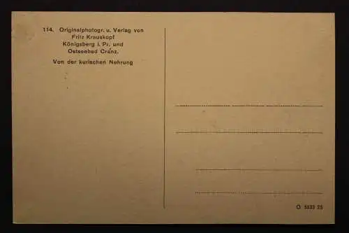 Ostpreussen, das Kupstenterrain - 424210