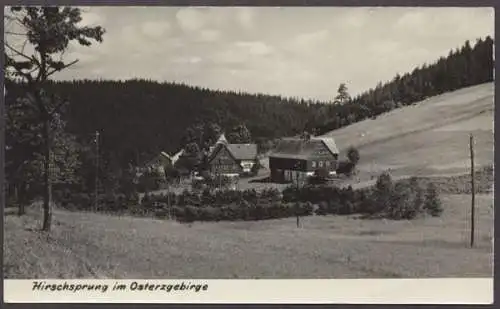 Hirschsprung im Osterzgebirge - 403935