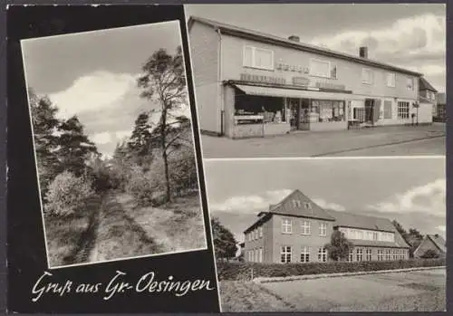 Oesingen (Groß) Kreis Gifhorn, Ansichten - 404270