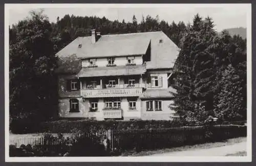 Hinterzarten/Schwarzwald, Pension Waldheim - 404367