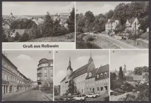 Roßwein Kr. Döbeln, Blick von der Wunderburg, am Talbad, Dresdner Straße, Markt - 410597