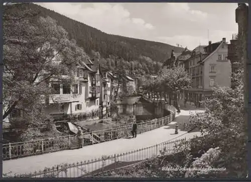 Wildbad / Schwarzwald, Enzpartie - 412038