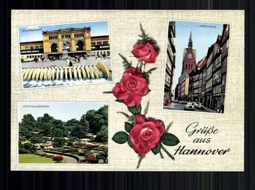 Hannover, Hauptbahnhof, Marktkirche, Stadthallengarten, Rosen - 417605