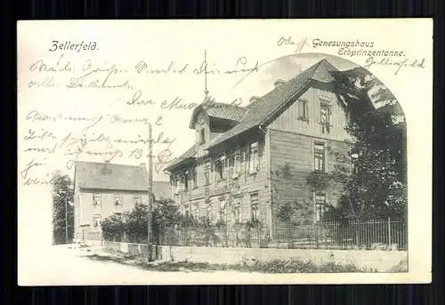 Zellerfeld, Genesungshaus Erbprinzentanne - 419413