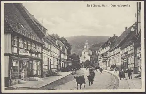 Bad Grund, Osteroderstraße, Rinder - 410025