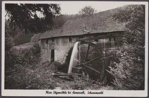 Herrenalb, Plotz Sägemühle, Schwarzwald - 410112