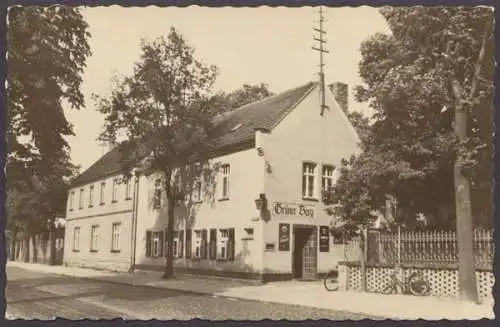 Doberlug-Kirchhain, OT Kirchhain, HOG "Grüner Berg" - 410190