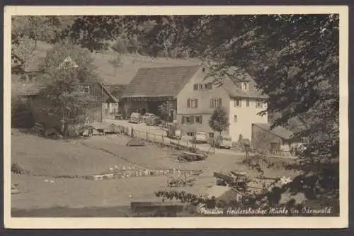 Odenwald, Pension Heidersbacher Mühle - 410193