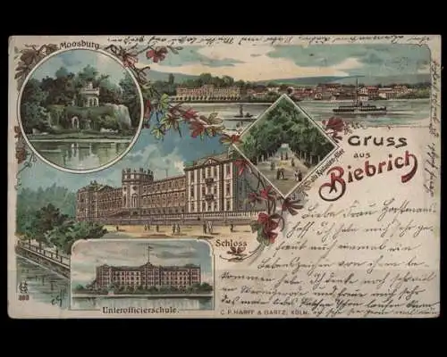 Biebrich, Ortsansicht, Katsanien-Allee, Schloss etc. - 400088