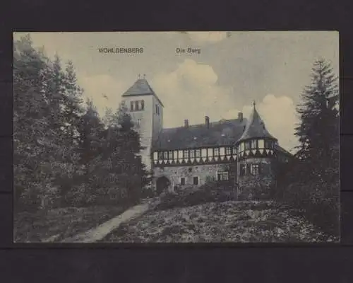 Holle - Wohldenberg, Die Burg - 400270