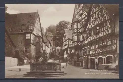 Miltenberg, Marktplatz mit Schnatterloch - 402133