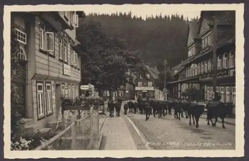 Altenau im Harz, Altenauer Damenkapelle - 404046