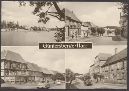 Günthersberge /Harz, Mühlteich, Jugendherberge, Handwerker-Erholungsheim - 410479