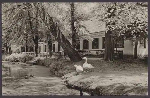 Mittweida, HO-Gaststätte "Kaffe am Schwanenteich" - 410530