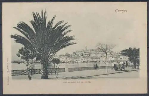 Cannes, Promenade de la Cote - 412296