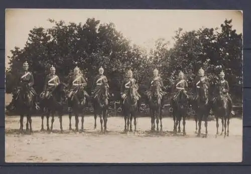 Munster, Offiziere zu Pferde, Fotoansichtskarte - 402228